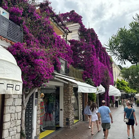 Luxury House In Pompeiana Via Camerelle Con Terrazza Vista Mare Διαμέρισμα Κάπρι